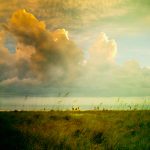 10 - Daniel Karila-Cohen - Florida skies